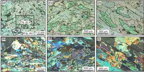 serpentinite thin section