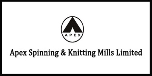 Annual Report 2013 of Apex Spinning & Knitting Mills Limited