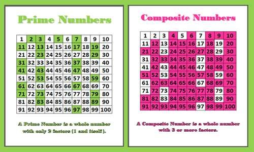 prime number and composite numbers less than 20