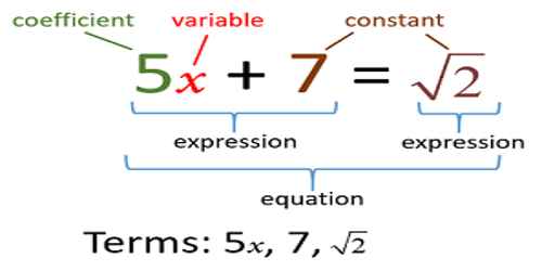 Variable and Constant