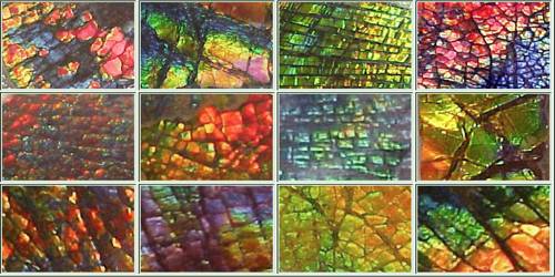 Ammolite: Properties and Occurrence