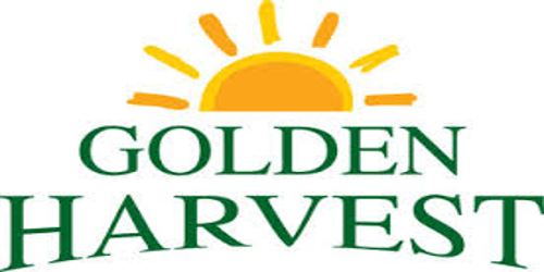 Annual Report 2015 of Golden Harvest Agro Industries Limited