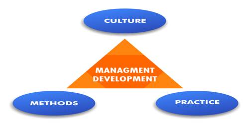 Concept of Management Development