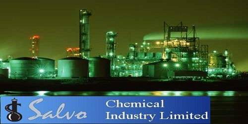 Annual Report 2013 of Salvo Chemical Industry Limited
