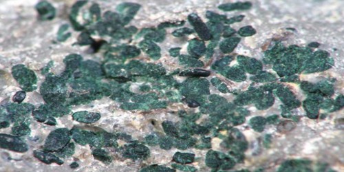 Glauconite: Properties and Occurrences