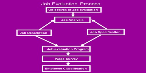 Job evaluation environmental health