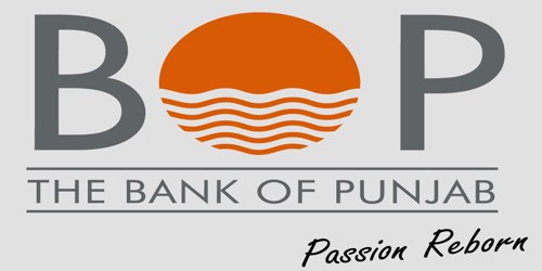 Annual Report 2008 of The Bank Of Punjab