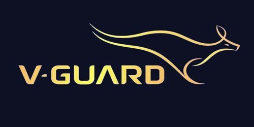 Annual Report 2012-2013 of V-Guard Industries Limited