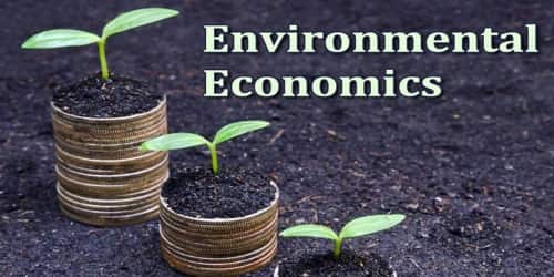 About Environmental Economics