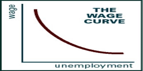 About Wage Curve