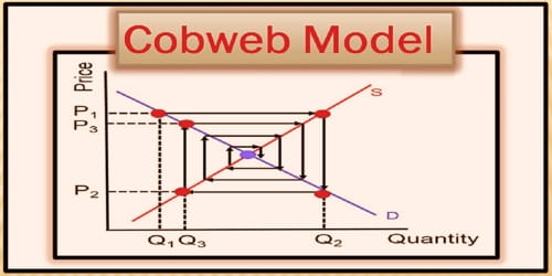 Cobweb Model