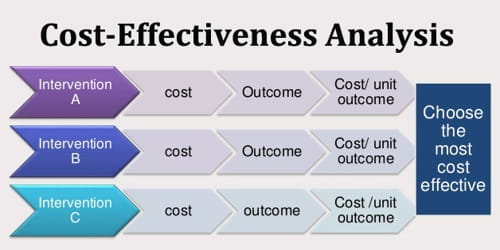 Cost Effectiveness Analysis Assignment Point