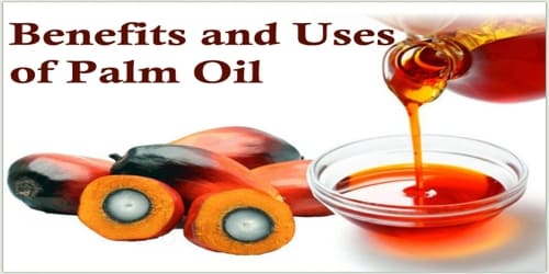 Benefits and Uses of Palm Oil