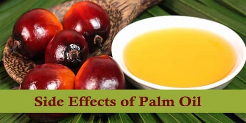 Side Effects of Palm Oil