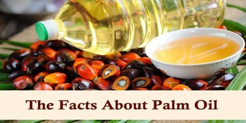The Facts About Palm Oil