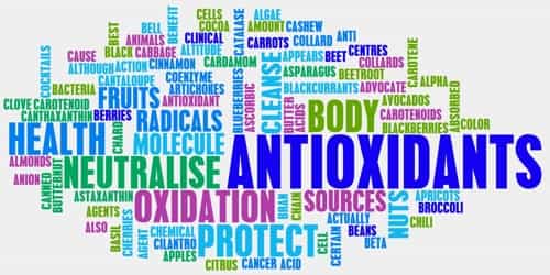 Antioxidant (Health Benefits)