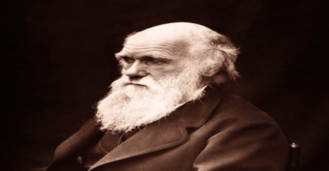Biography of Charles Darwin