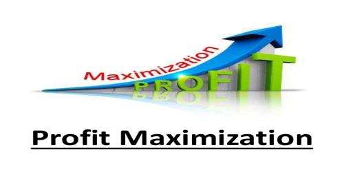 Decision Process of Wealth Maximization Objective