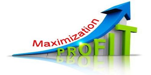 Concept of Profit Maximization Objective