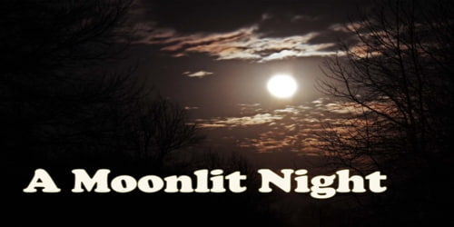 A Moonlit Night