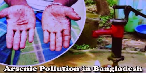 Arsenic Pollution in Bangladesh