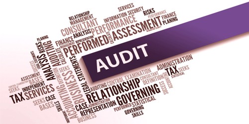Audit of Non-Governmental Organizations (NGOs)