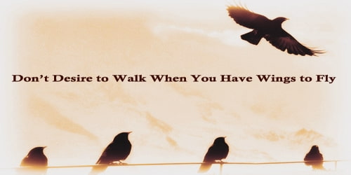 Don’t Desire To Walk When You Have Wings To Fly