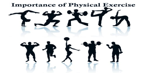 Importance of Physical Exercise