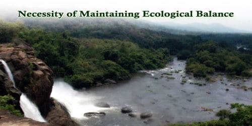 Necessity of Maintaining Ecological Balance