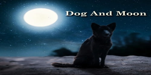 Dog And Moon