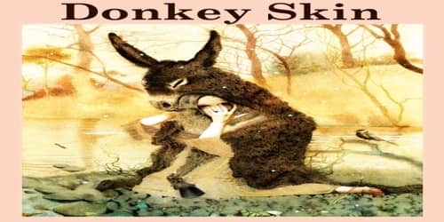 Donkey Skin