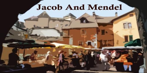 Jacob And Mendel