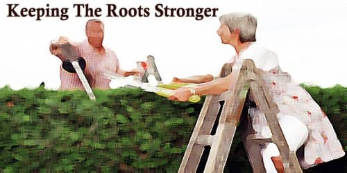 Keeping The Roots Stronger