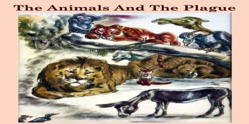 The Animals And The Plague
