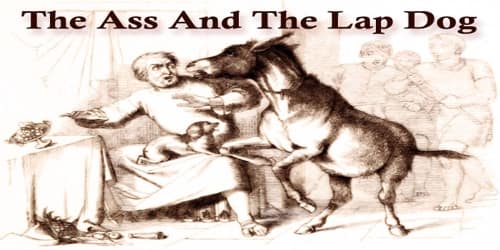 The Ass And The Lap Dog