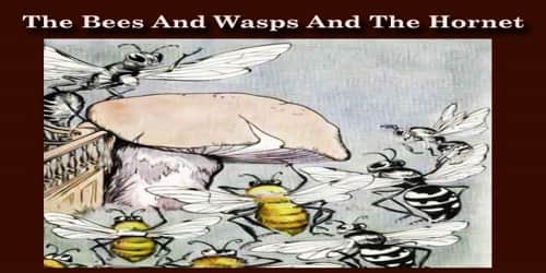 The Bees And Wasps And The Hornet