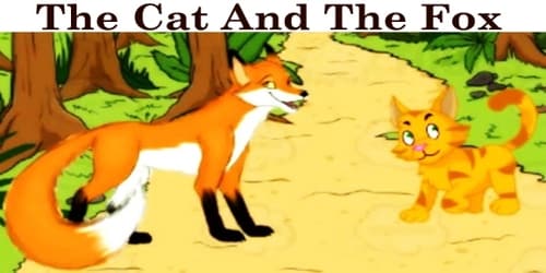 The Cat And The Fox