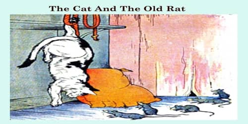 The Cat And The Old Rat
