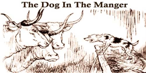 fable-story-the-dog-in-the-manger-but-ox-can-eat-fable-fantasy