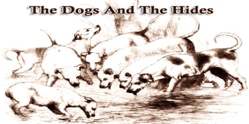 The Dogs And The Hides