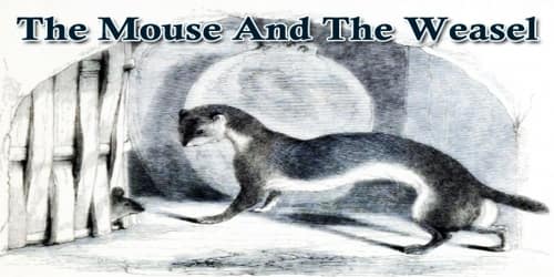 The Mouse And The Weasel