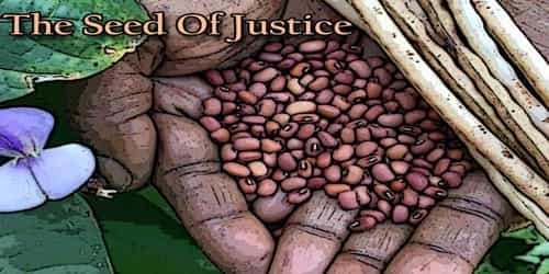The Seed Of Justice