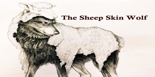 The Sheep Skin Wolf