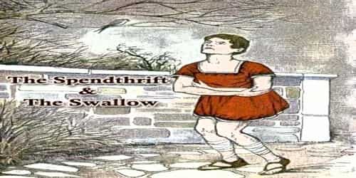 The Spendthrift And The Swallow