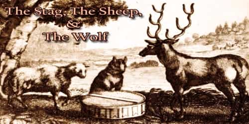 The Stag, The Sheep, And The Wolf