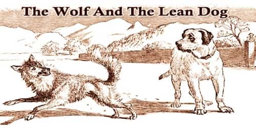 The Wolf And The Lean Dog