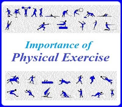 The Importance Of Physical Exercise