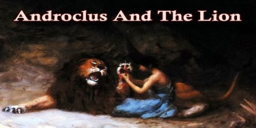 Androclus And The Lion