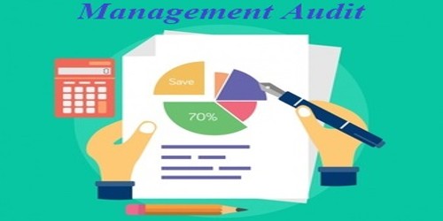 Concept of Management Audit
