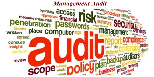 Functions of Management Audit